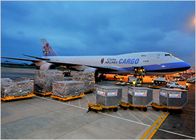 Air Freight 